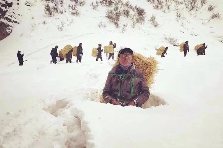 银娱优越会(中国)股份有限公司